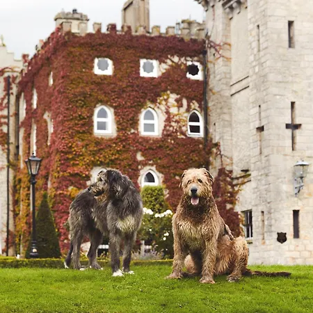 Cabra Castle