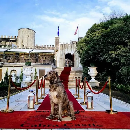 Cabra Castle 4* Kingscourt