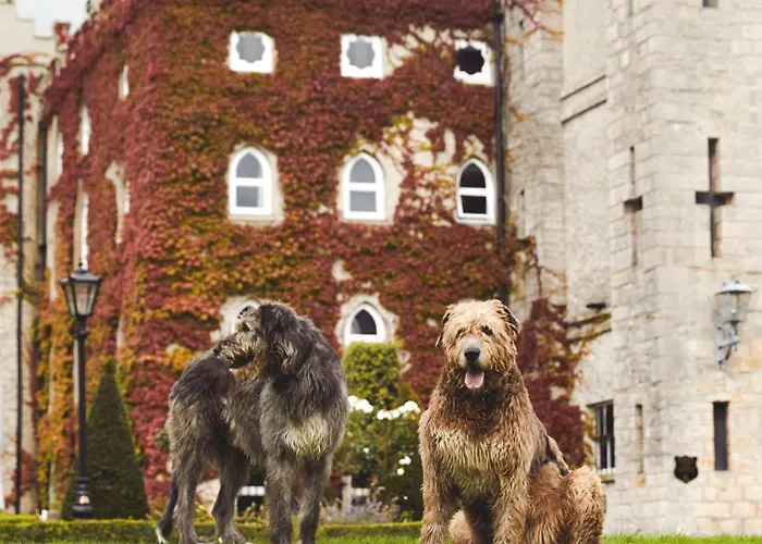 Cabra Castle